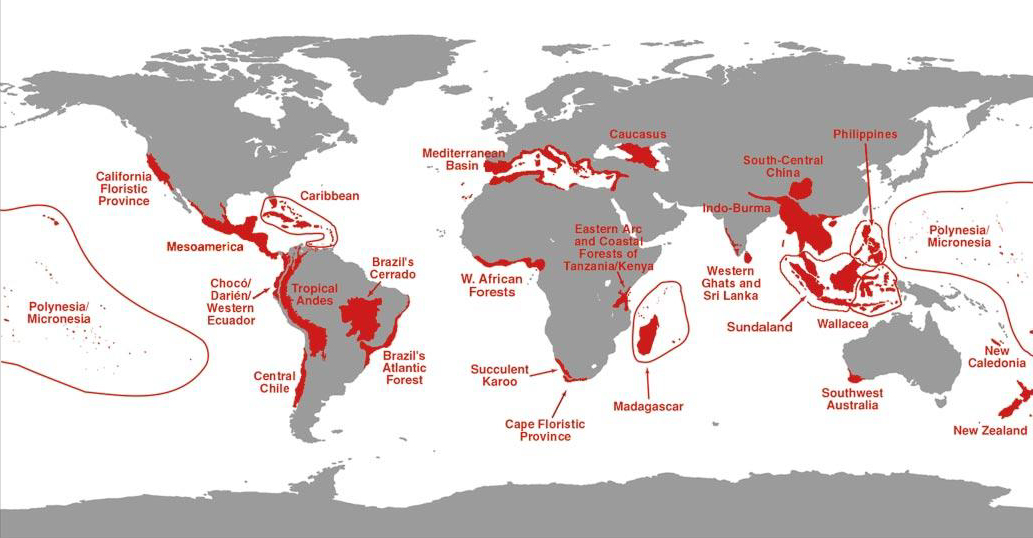 מפת hotspots העולמית. האזורים החשובים ביותר לשמירת המגוון הביולוגי